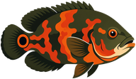 Ozzy, the Cichlid Nation oscar mascot